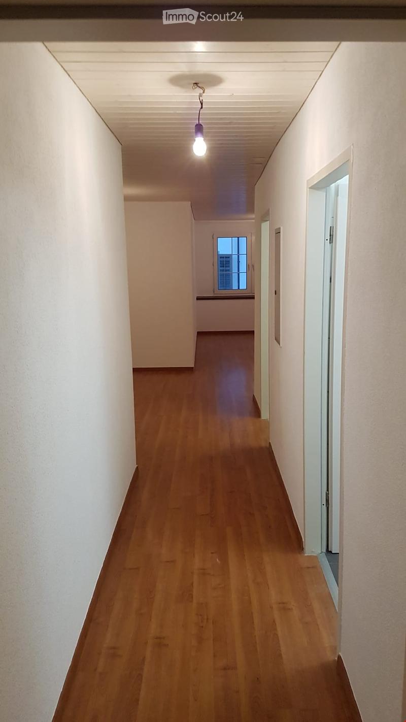 A long, narrow hallway with wooden flooring and white walls, featuring a single hanging light fixture and a window at the far end.