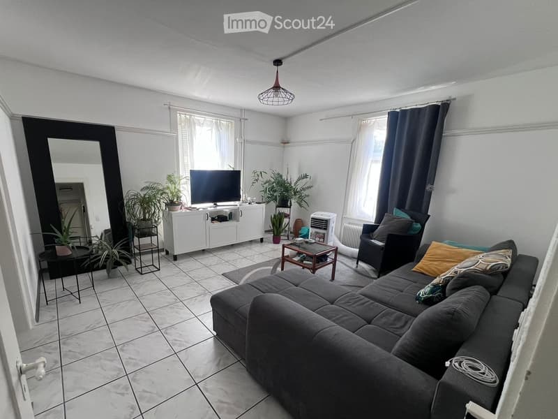 Modern living room with a grey sectional sofa, coffee table, TV on a white cabinet, potted plants, and a hanging pendant light.
