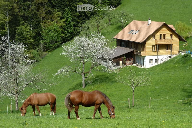 Garden / Outdoor Area. A two-story wooden house with a red-tiled roof sits on a hillside surrounded by lush green grass and trees. Two brown horses graze peacefully in the foreground, with a flowering tree nearby.