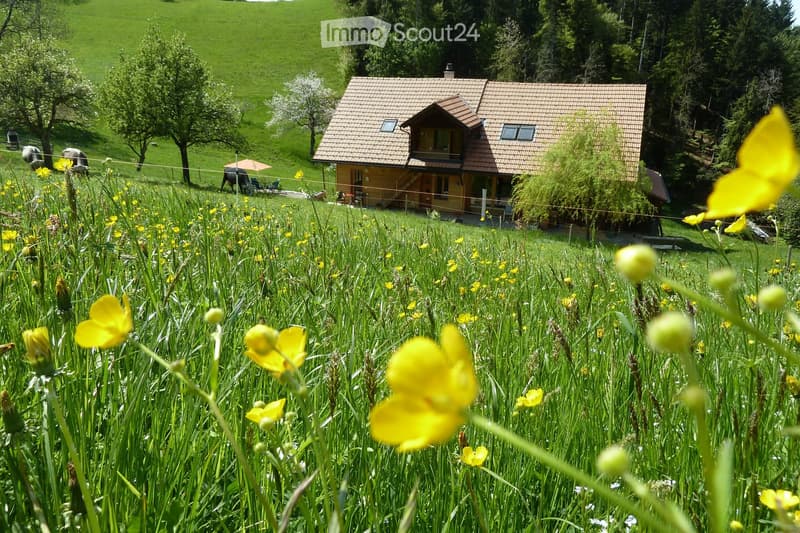 Garden / Outdoor Area. A peaceful garden area with yellow flowers in the foreground and a cozy wooden house with a red-tiled roof in the background, surrounded by green hills and trees.