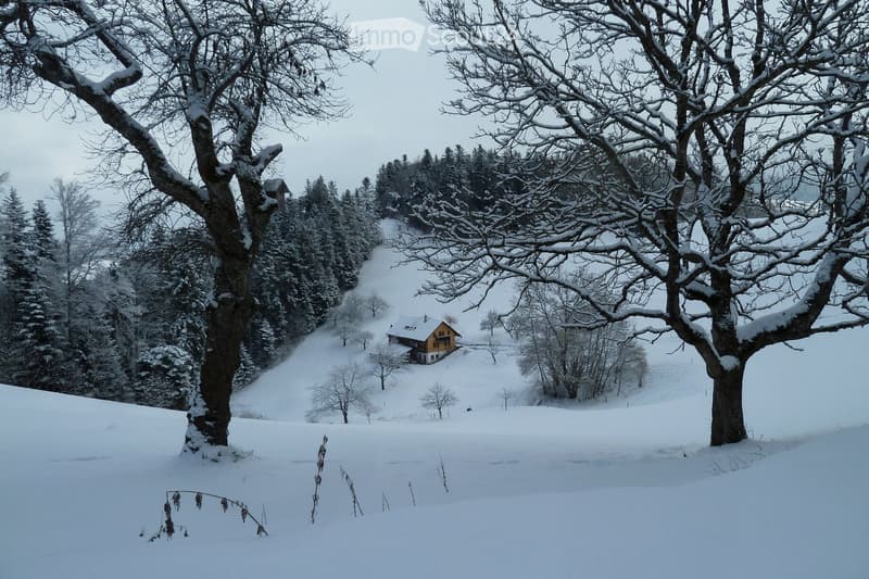 Garden / Outdoor Area. A snowy outdoor landscape with a small house in the distance, surrounded by snow-covered trees and a clear path leading to the house.