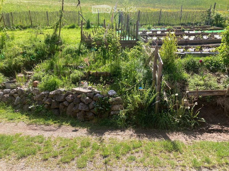 Garden / Outdoor Area. A lush garden area with raised beds, stone walls, and various plants, enclosed by wooden fencing.