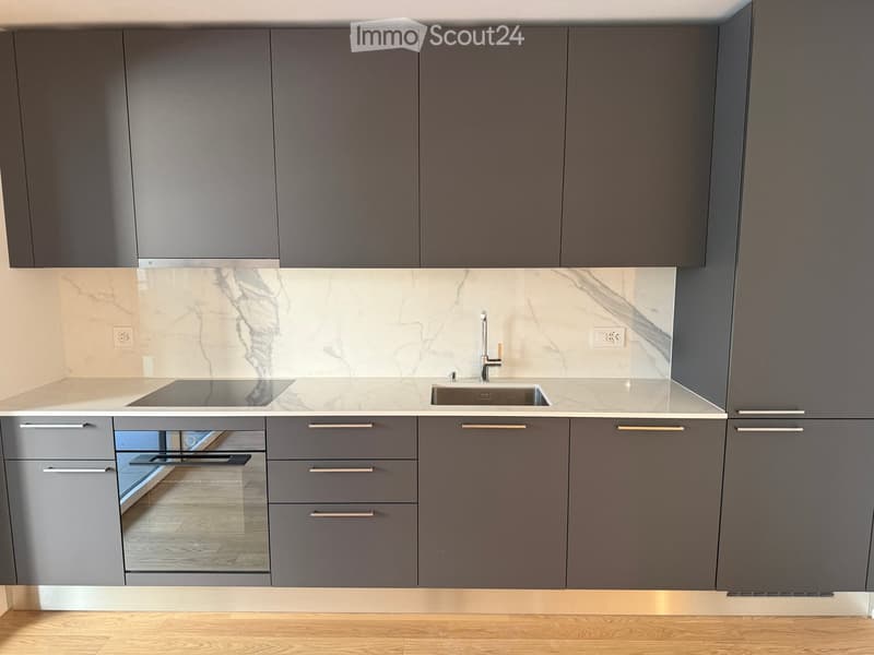 Modern kitchen with grey cabinets, marble backsplash, stainless steel sink, and built-in stove.