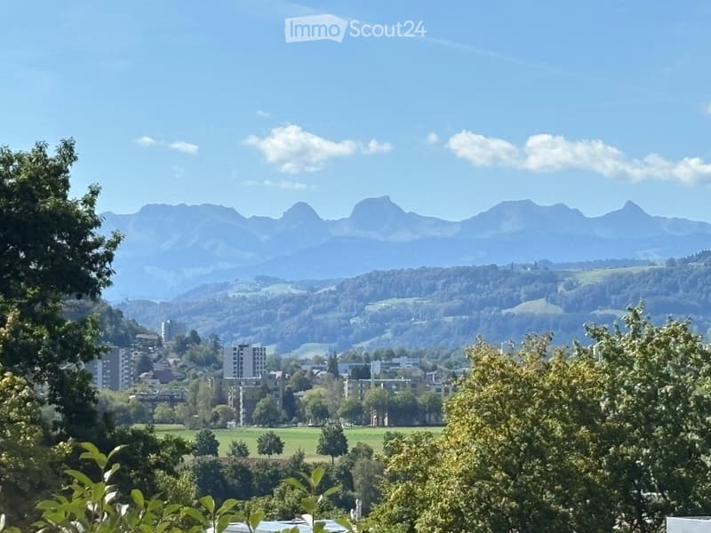 Grosszügige Wohnung mit hohem Qualitätsstandard, grosser Terrasse / Garten mit wunderschöner Sicht (21)