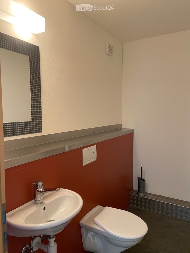Modern bathroom with a white sink, chrome faucet, toilet, and a mirror with a dark tiled border. The walls are painted in a warm red color, and there is a toothbrush holder on a small shelf.