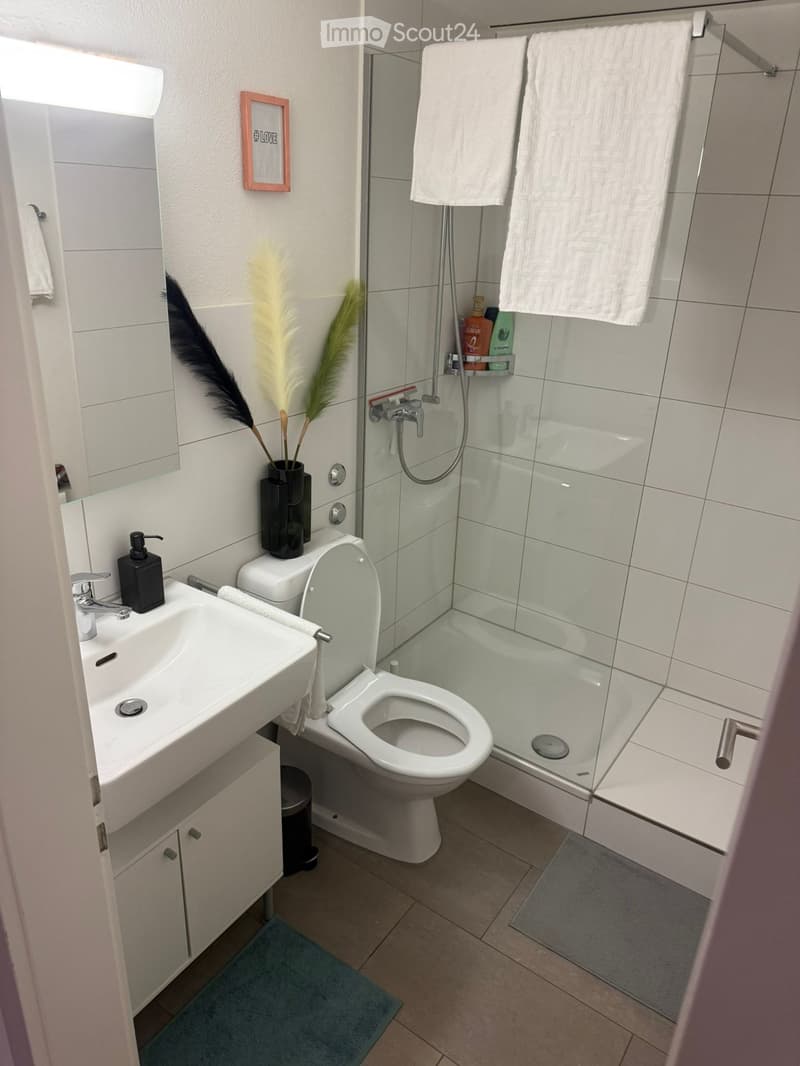 Modern bathroom with white tiles, a sink, toilet, shower, and decorative vase with feathers.