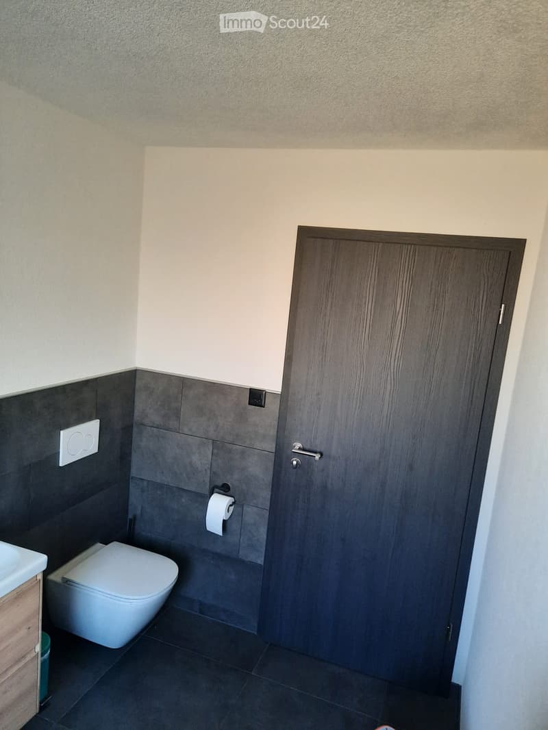 Modern bathroom with dark grey tiles, white toilet, toilet paper holder, and a wooden door.
