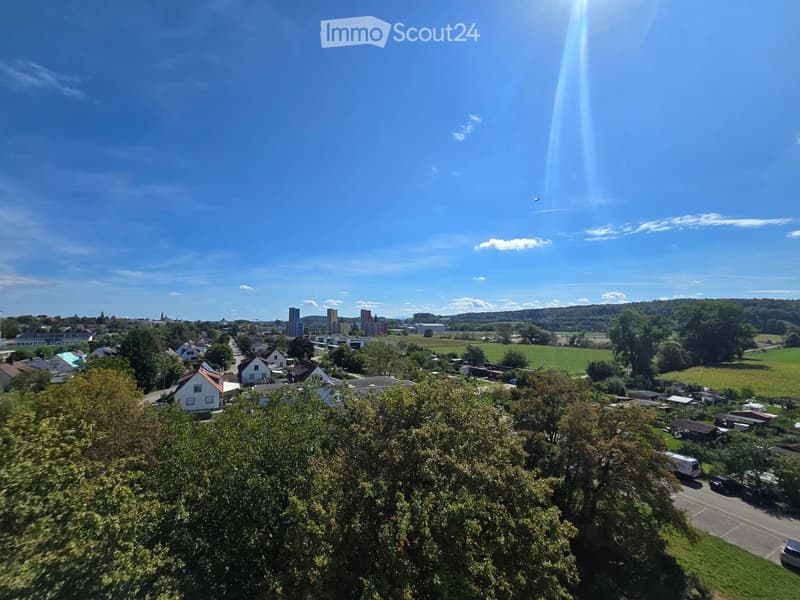Aerial view of a suburban neighborhood with houses, trees, and a distant city skyline under a clear blue sky.