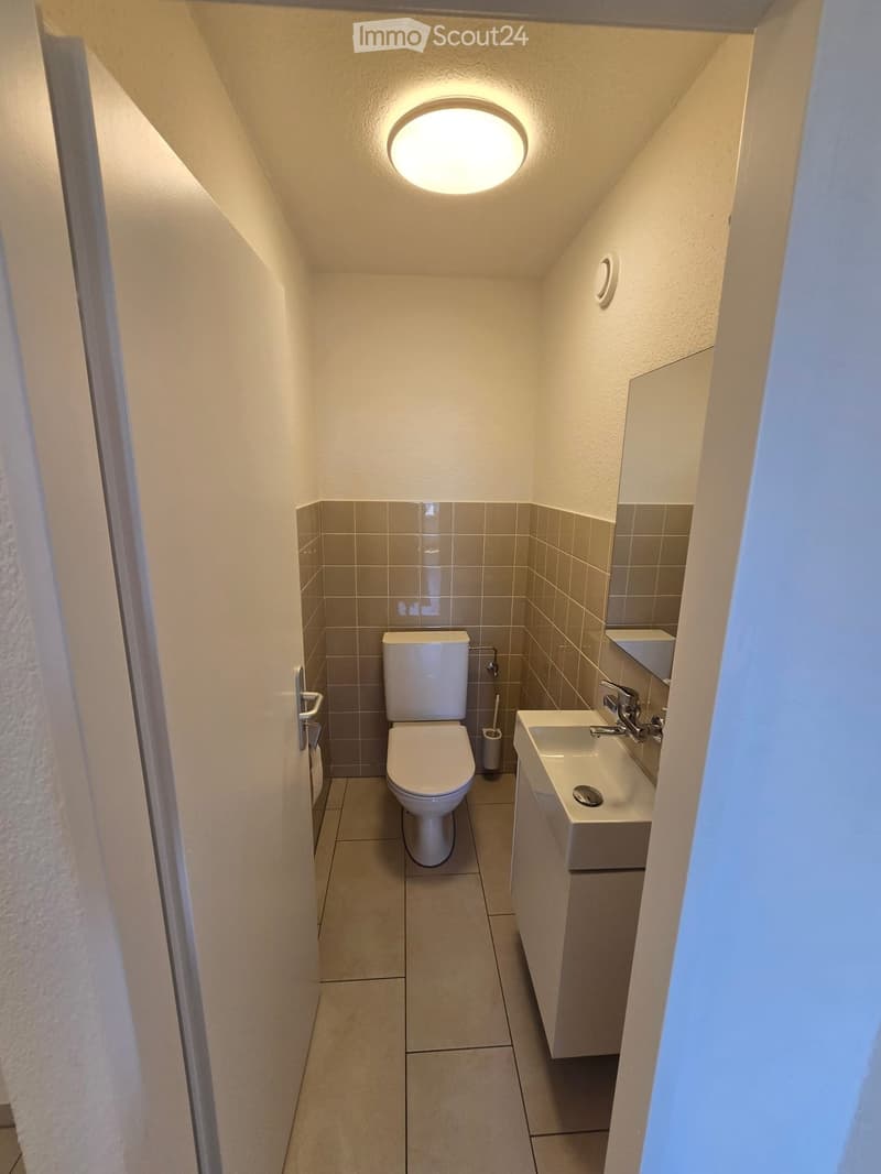 Compact bathroom with a toilet, sink, and mirror, featuring tiled walls and a round ceiling light.