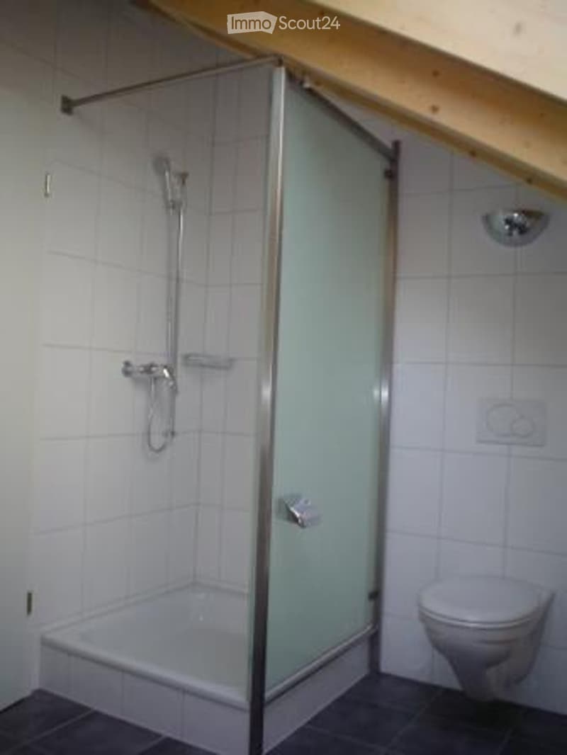 Modern bathroom with white tiled walls, a glass-enclosed shower stall, and a toilet. The shower features a handheld sprayer and a built-in seat.