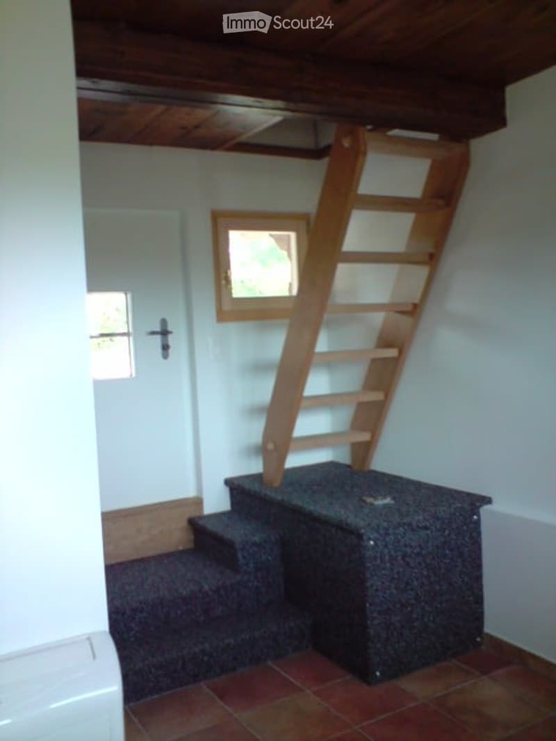 A narrow hallway with a wooden staircase leading upwards, carpeted steps, and a small window providing natural light.