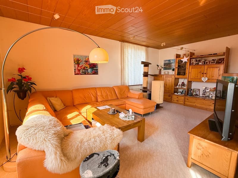 Bright living room with orange leather sofa, coffee table, floor lamp, cat tree, wooden cabinet, TV, and decorative plant.