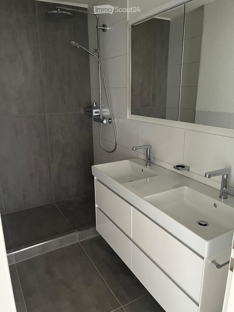 Modern bathroom with a double sink, sleek white cabinetry, chrome faucets, and a large mirror above the sinks. The shower area features dark grey tiles and a handheld showerhead.