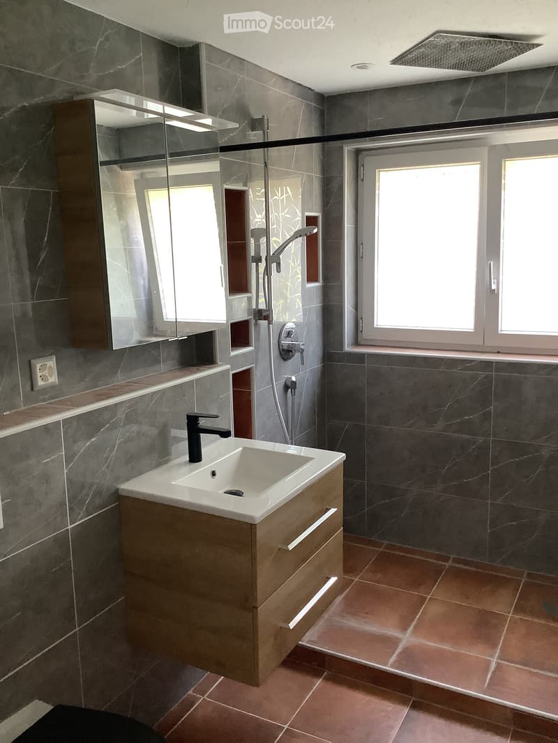 Modern bathroom with dark grey tiles, a white sink with a black faucet, a mirrored cabinet, and a shower area with a glass enclosure.