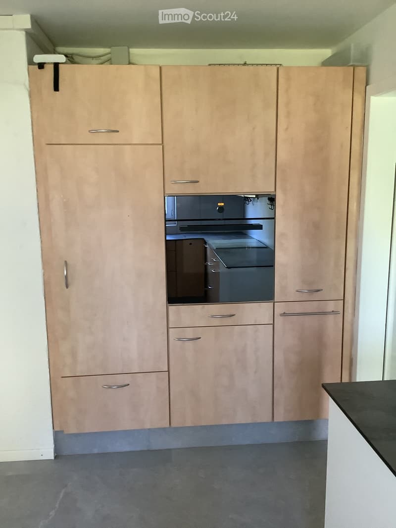 Modern kitchen with light wood cabinets, stainless steel handles, and a built-in dishwasher.