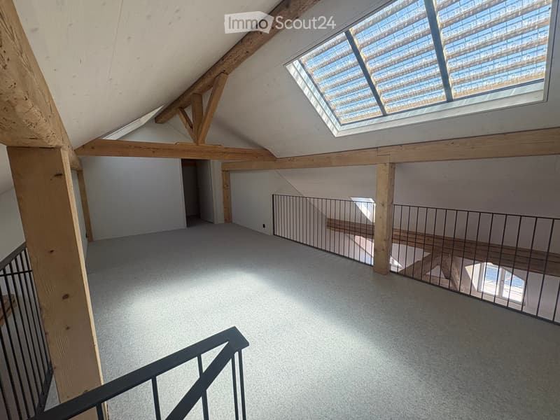 Open loft space with exposed wooden beams, grey carpet, metal railing, and skylight windows allowing natural light.
