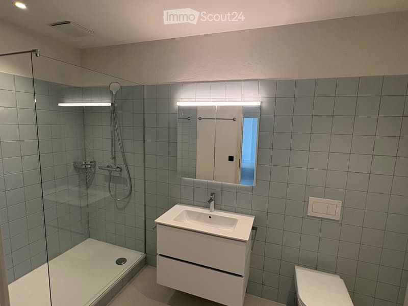 Modern bathroom with grey tiled walls, a white sink with a cabinet, a large mirror with built-in lighting, and a glass-enclosed shower area.
