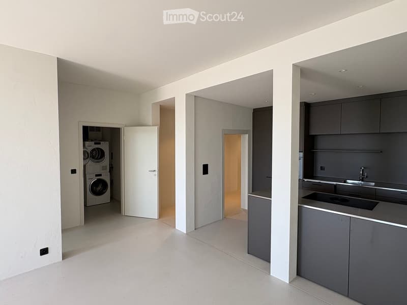 Empty room with white walls, grey cabinets, and a washing machine in an adjacent space.