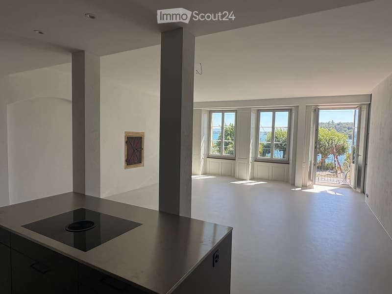 Empty room with white walls, large windows, and a modern kitchen island with an induction cooktop. The space is well-lit with natural light and features a view of the outdoors.