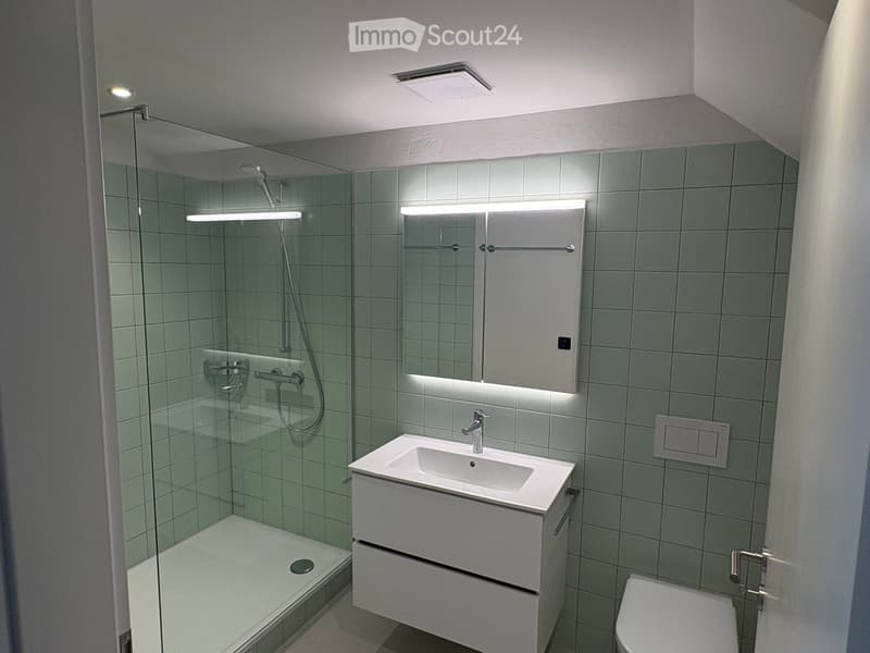 Modern bathroom with a white sink, mirror, toilet, and glass-enclosed shower. Features sleek fixtures and built-in storage.
