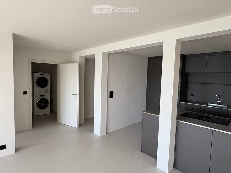 Modern, minimalist room with a private washing machine, grey kitchen cabinet, and sink.