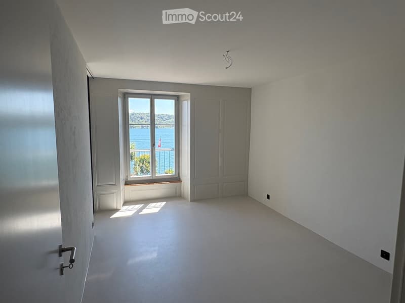 Empty room with light grey walls, a large window offering a scenic view of a lake, and a closed door.
