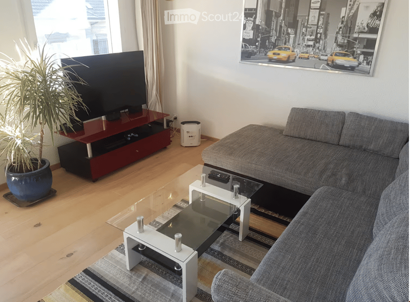 modern interior, a L-shaped gray sofa, a red television stand, a glass table, a potted plant, an air purifier on the floor, a picture frame on the wall, carpet, a remote control, curtains