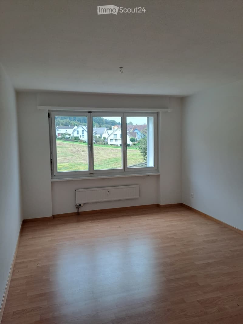 empty room, hardwood floor, white walls, large window with view, white painted radiator