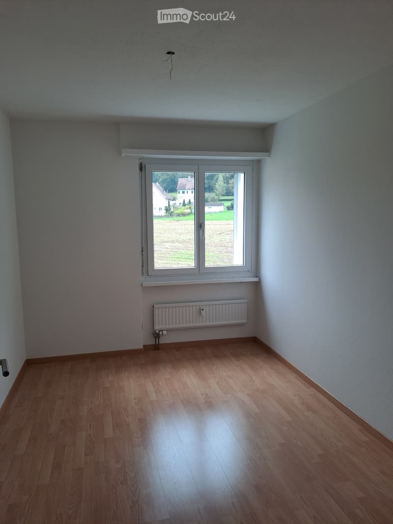 Empty room, wooden floors, white walls, double windows, white radiator