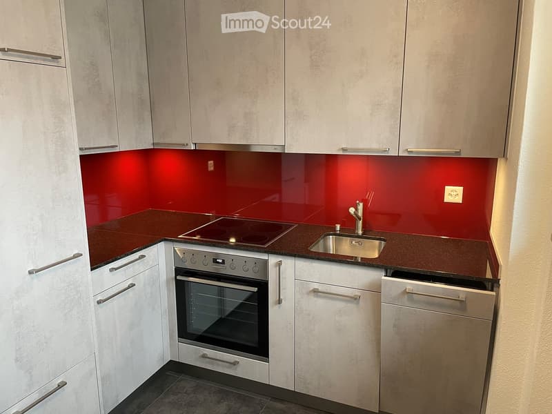 Modern kitchen with white cabinets, red backsplash, stainless steel appliances, and a dark countertop.