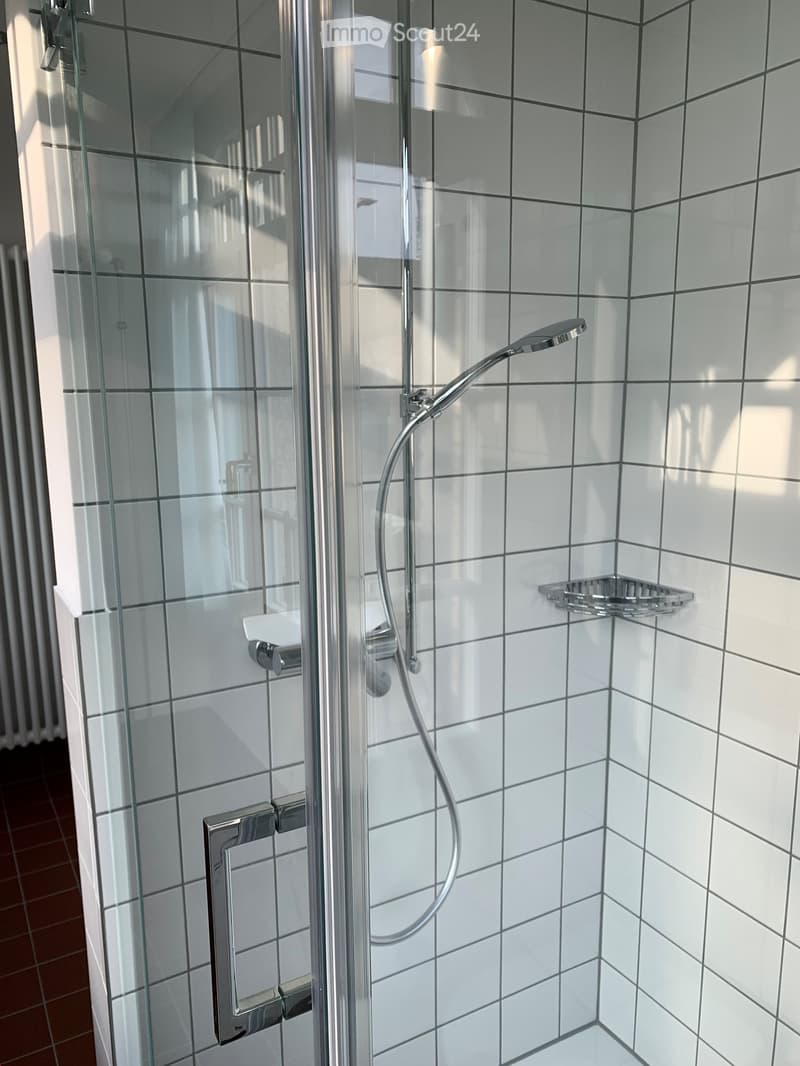 Modern shower area with white tiled walls, glass enclosure, chrome shower handle, and a built-in shelf.