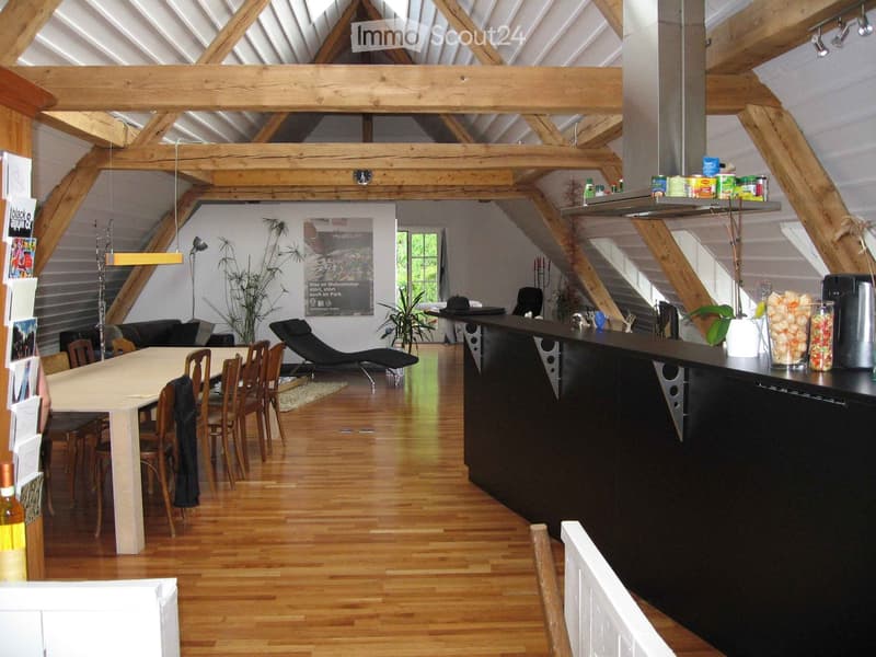 Open-plan living and dining area with exposed wooden beams, a dining table with chairs, a sofa, a kitchen island, and various decorative items including potted plants and a coffee maker.
