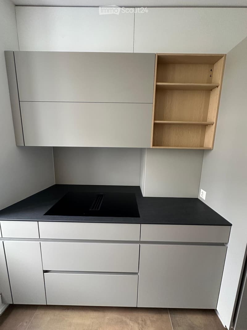 Modern kitchen with white cabinets, a black countertop, and a built-in sink.