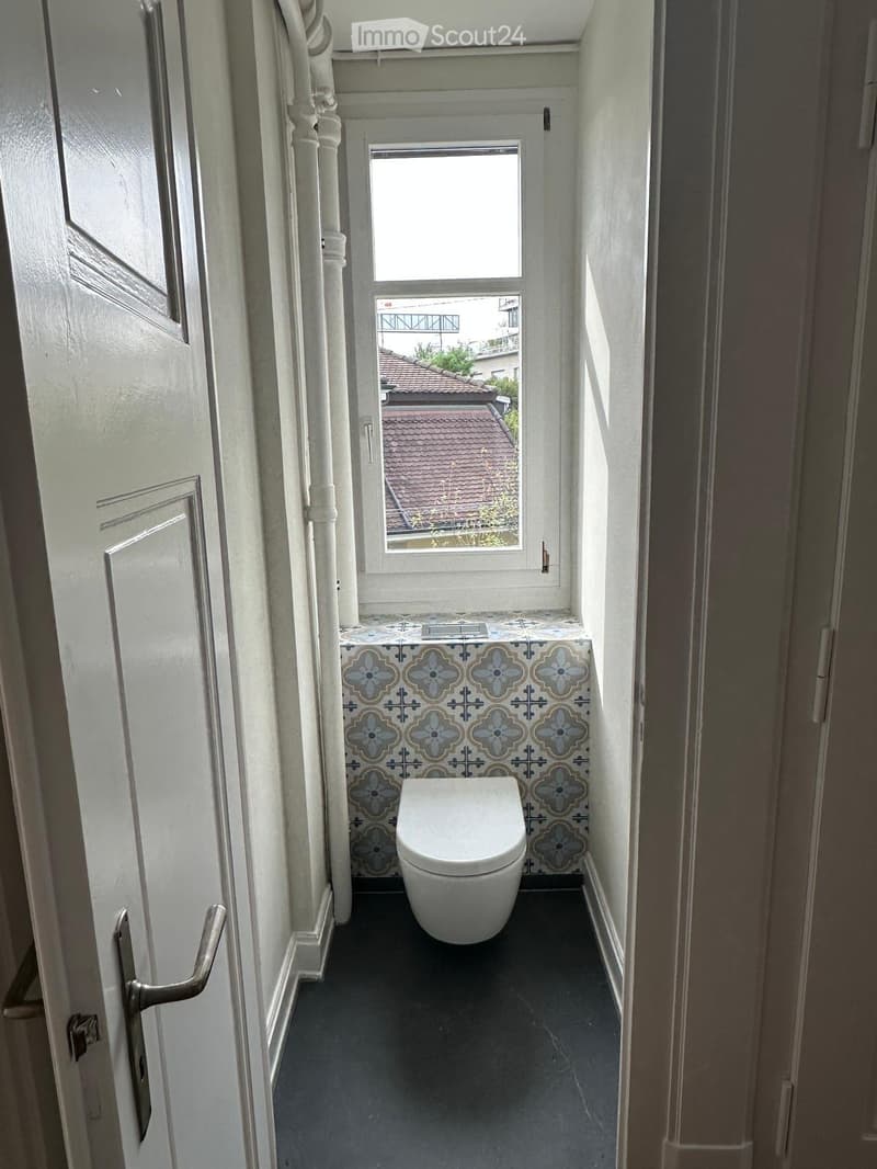 Narrow bathroom with a toilet, decorative blue and white floral tiles, and a small window showing a rooftop view.