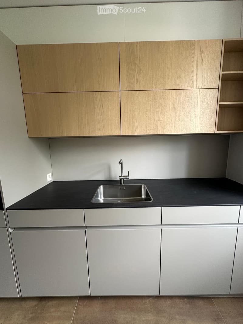 Modern kitchen with light wood and white cabinets, black countertop, and stainless steel sink.