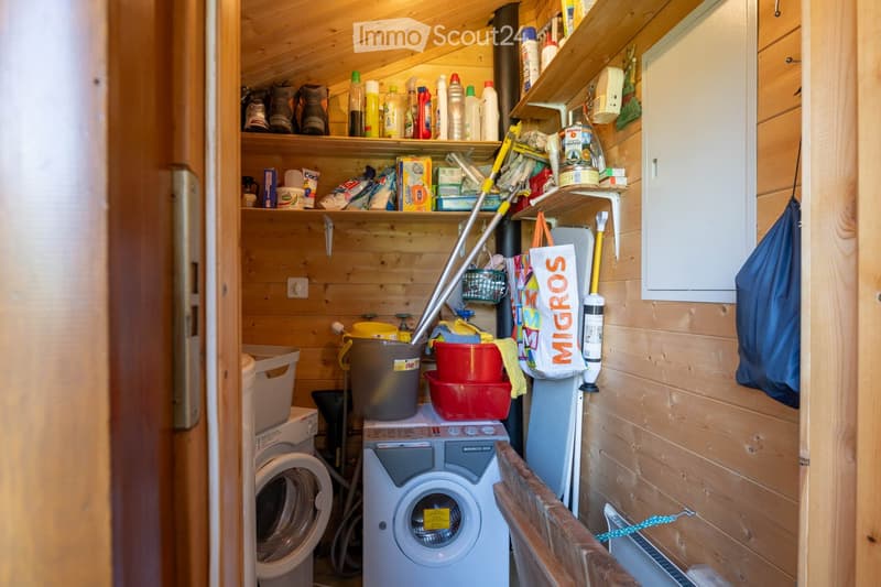 Bathroom. A small, wooden-paneled bathroom with a washing machine, toilet, shelves filled with cleaning supplies, and various storage items.