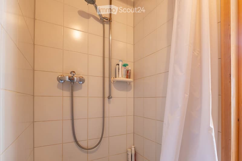 Bathroom. Shower area with white tiled walls, a handheld showerhead, a fixed faucet, and a small shelf holding toiletries.