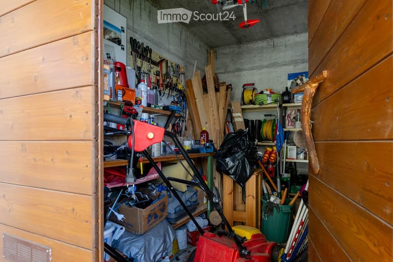Other. A cluttered garage with a lawn mower, various tools, shelves, and storage items.