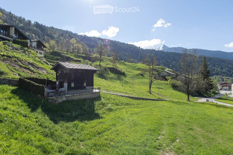 Garden / Outdoor Area. A picturesque alpine village with traditional wooden houses, green meadows, and a backdrop of snow-capped mountains.