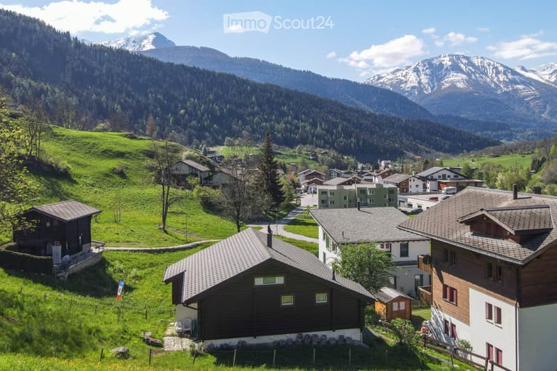 Garden / Outdoor Area. A picturesque village nestled in a lush green valley with snow-capped mountains in the background. Traditional wooden houses with grey roofs are scattered across the landscape, surrounded by trees and grassy fields.
