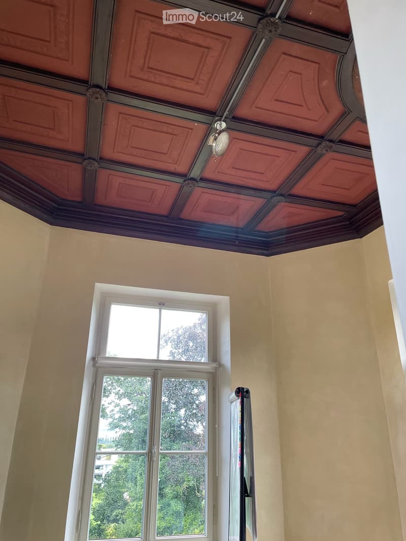 Schlossräume- Büroträume 2-Zimmer-Gewerberäume in historischem Gebäude (4)