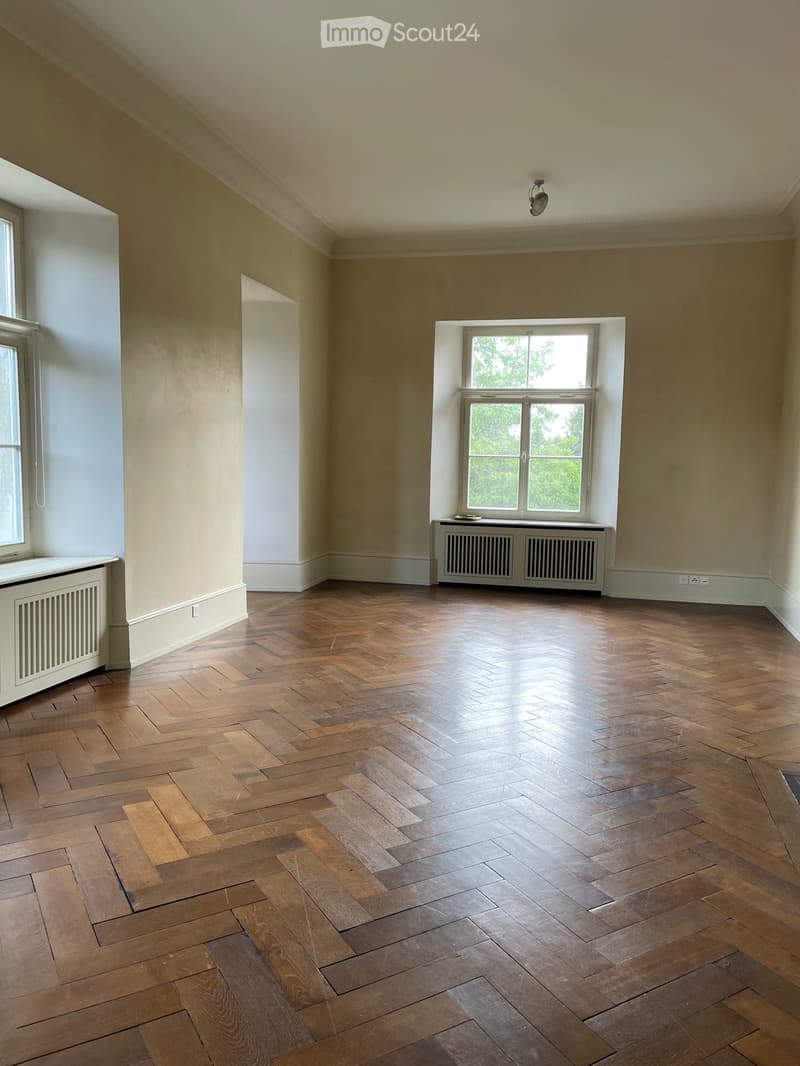 Schlossräume- Büroträume 2-Zimmer-Gewerberäume in historischem Gebäude (8)