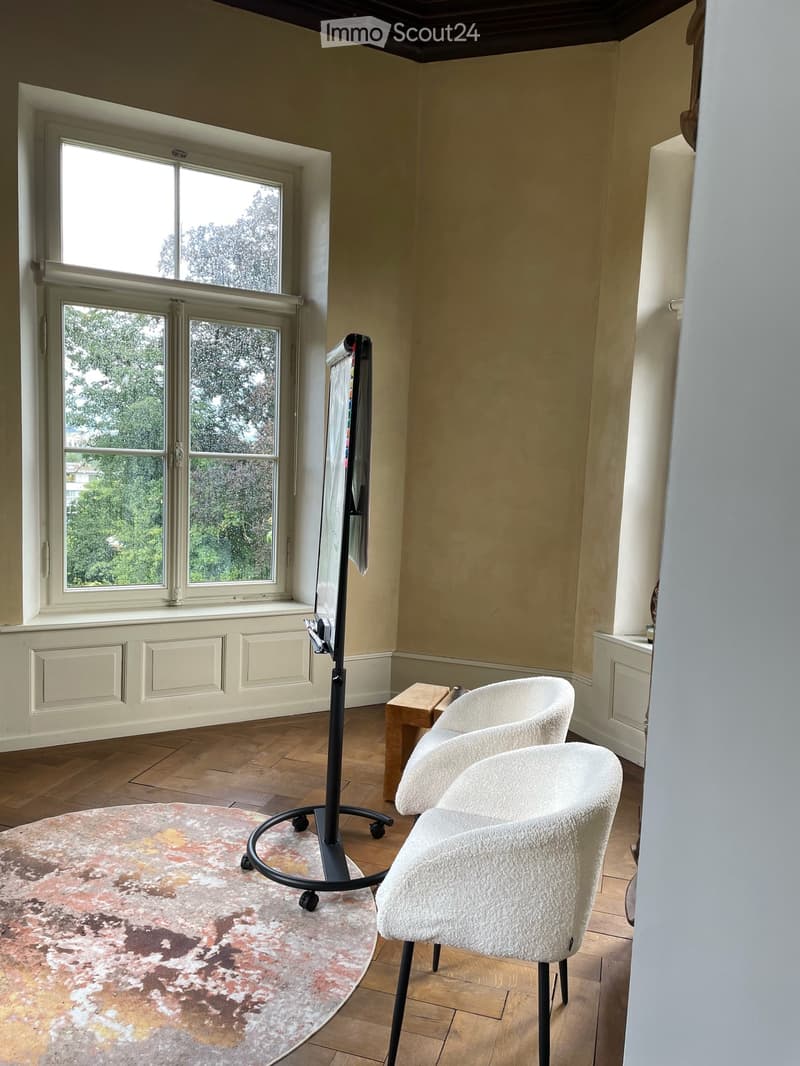 Schlossräume- Büroträume 2-Zimmer-Gewerberäume in historischem Gebäude (6)