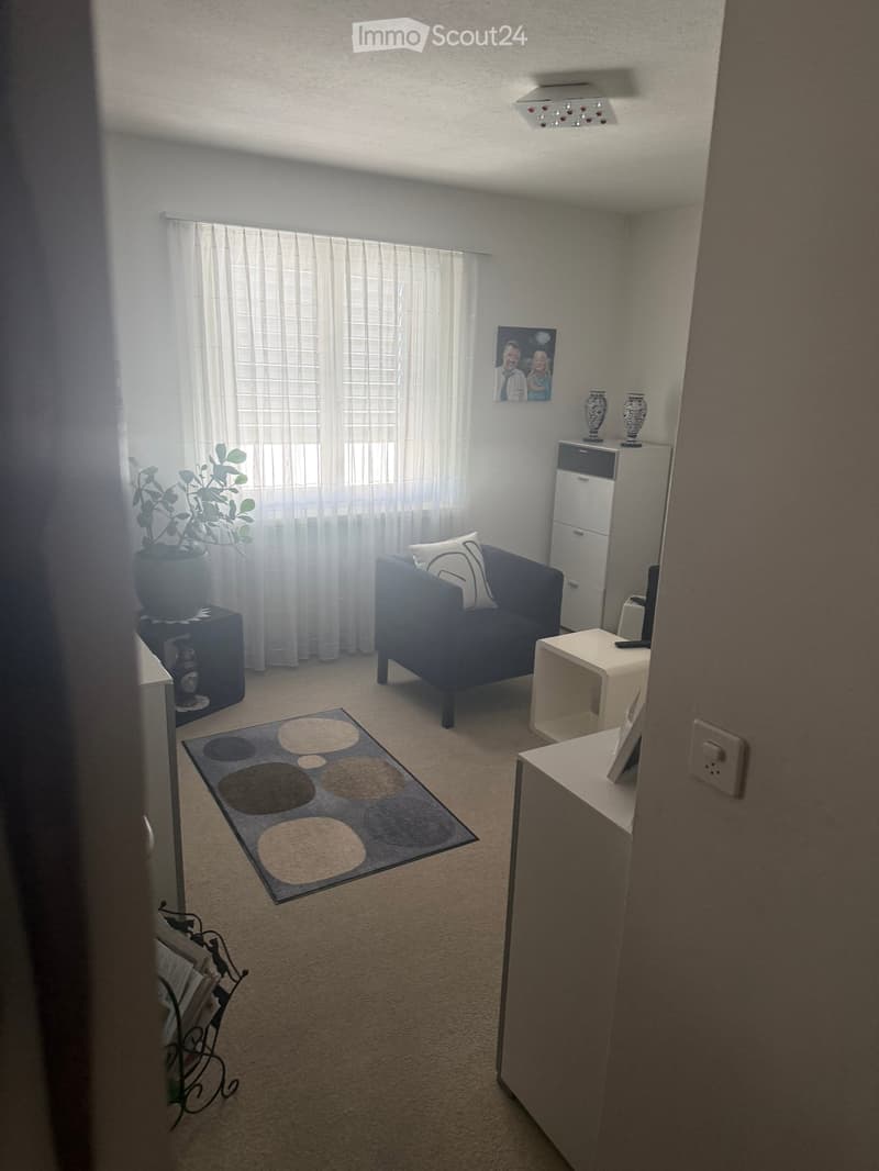 Helle 4-Zimmer-Wohnung in Baar (ZG) (4)