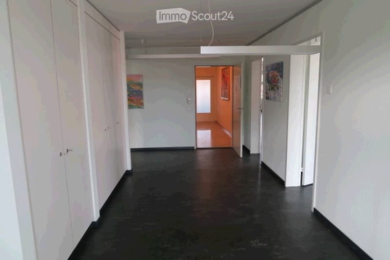 Empty hallway with white walls, dark flooring, and several doors leading to other rooms.