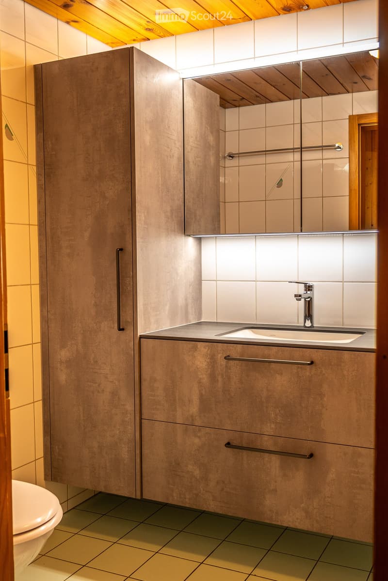 Modern bathroom with wooden cabinets, a sink with a chrome faucet, a mirror above the sink, and a toilet visible in the corner.