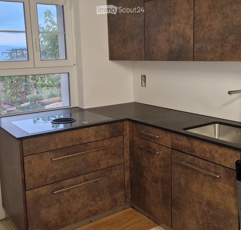 Modern kitchen with dark countertops, wooden cabinets, and stainless steel sink, featuring large windows with a view of greenery.
