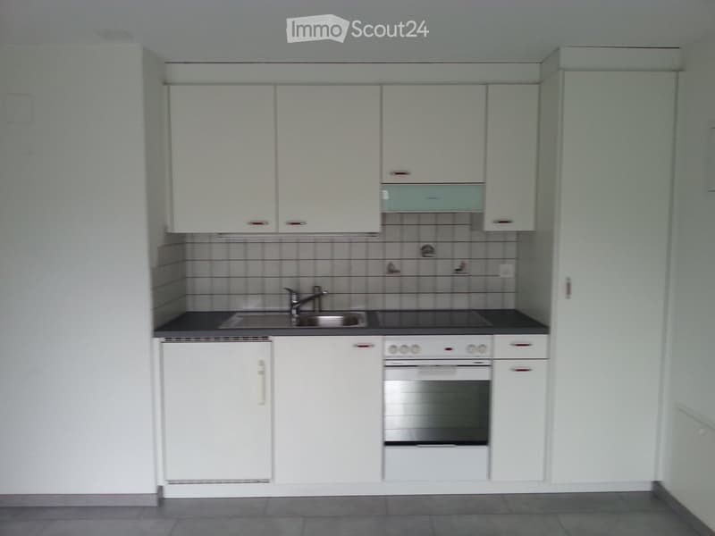 Modern kitchen with white cabinets, stainless steel sink, and built-in oven.