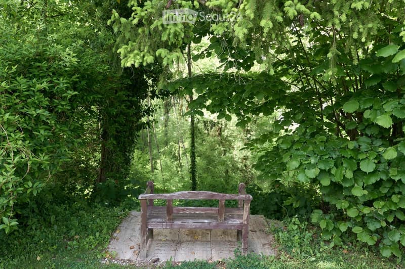 A wooden bench is placed on a concrete slab surrounded by dense green foliage and trees, creating a secluded outdoor seating area.