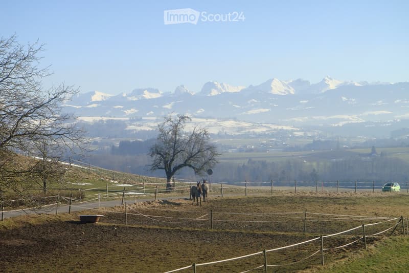 A fenced area with two horses grazing, surrounded by a rural landscape with snow-capped mountains in the background.